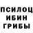 Псилоцибиновые грибы прущие грибы Oksi Sky