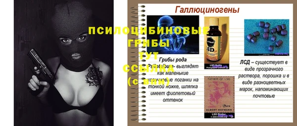 PSILOCYBIN Абинск