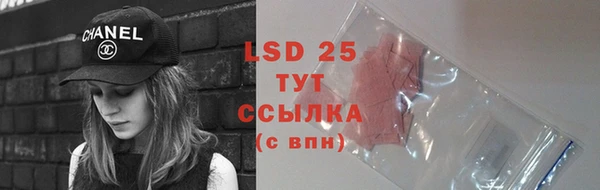 PSILOCYBIN Абинск
