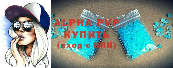 гидра Абаза
