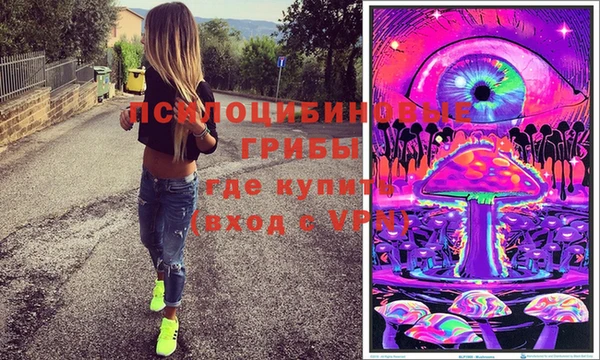 PSILOCYBIN Абинск