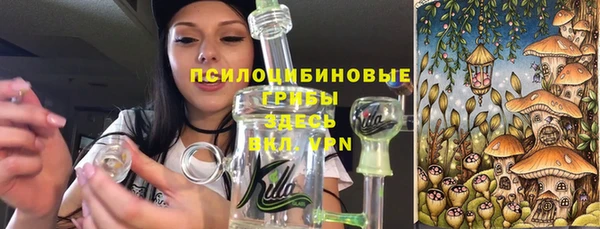 PSILOCYBIN Абинск