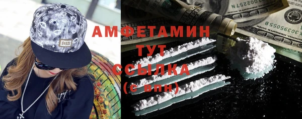 гидра Абаза