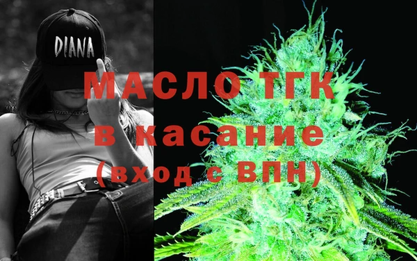гидра Абаза