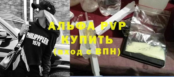 гидра Абаза