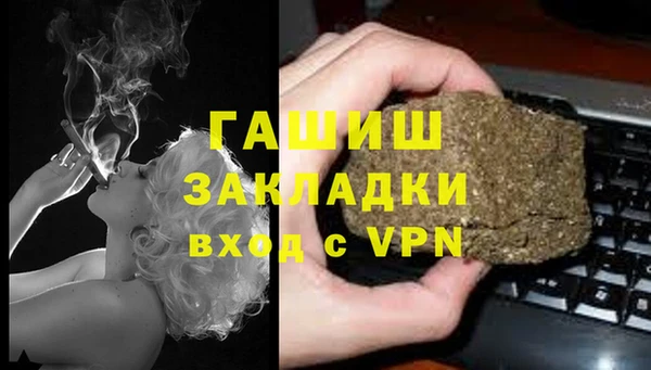 гидра Абаза