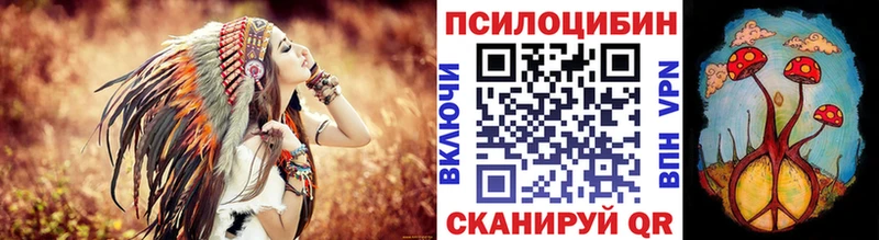 OMG вход  Ильский  Псилоцибиновые грибы Psilocybine cubensis  где найти  